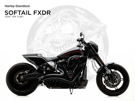 HARLEY-DAVIDSON SOFTAIL FXDR 114 