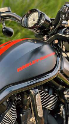 HARLEY-DAVIDSON-NIGHT ROD SPECIAL-2014