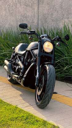 HARLEY-DAVIDSON-NIGHT ROD SPECIAL-2014