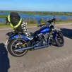 HARLEY-DAVIDSON SOFTAIL BREAKOUT HARLEY-DAVIDSON SOFTAIL BREAKOUT
