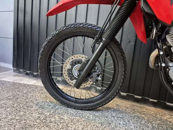 HONDA-XR 300L TORNADO-2024