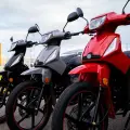SHINERAY PHOENIX S 50 EFI SHINERAY PHOENIX S 50 EFI