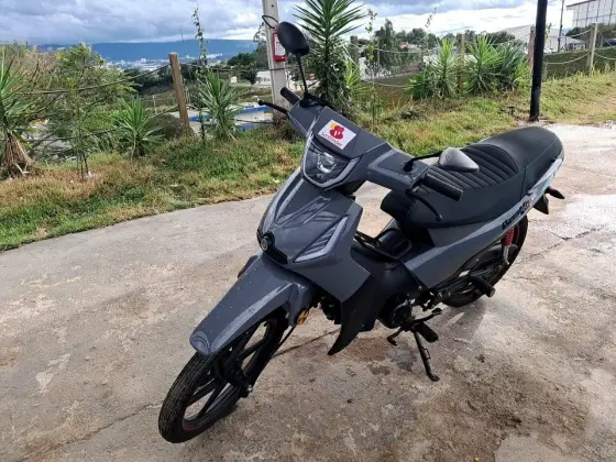 SHINERAY PHOENIX S 50 