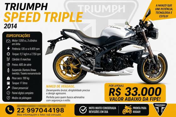 TRIUMPH SPEED TRIPLE 