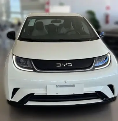 BYD DOLPHIN 44,9 KW ELÉTRICO GS
