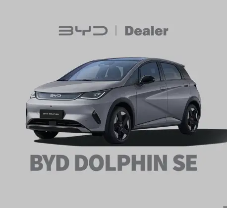 BYD DOLPHIN 45,1 KW ELÉTRICO SE