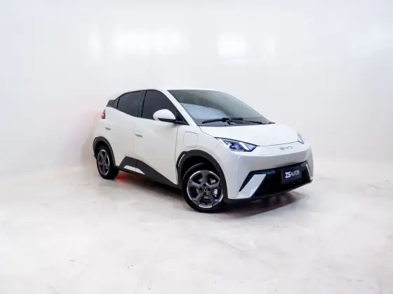 BYD DOLPHIN MINI 38 KW ELÉTRICO GS