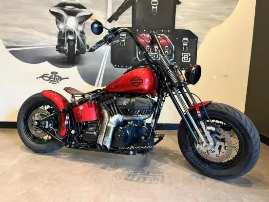 HARLEY-DAVIDSON-SOFTAIL FAT BOY-2008