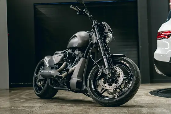 HARLEY-DAVIDSON SOFTAIL FXDR 114 