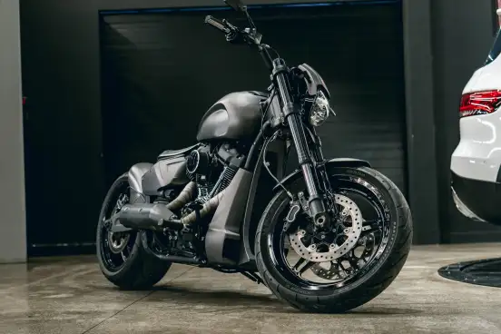 HARLEY-DAVIDSON-SOFTAIL FXDR 114-2019