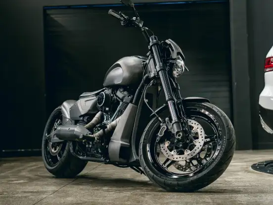 HARLEY-DAVIDSON-SOFTAIL FXDR 114 HARLEY-DAVIDSON-SOFTAIL FXDR 114-2019