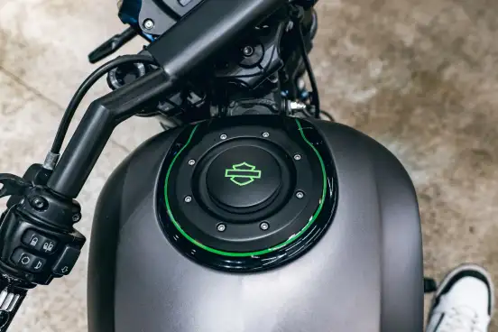 HARLEY-DAVIDSON-SOFTAIL FXDR 114-2019