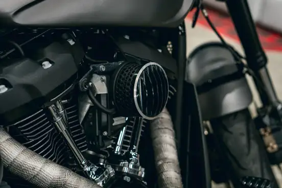 HARLEY-DAVIDSON-SOFTAIL FXDR 114-2019
