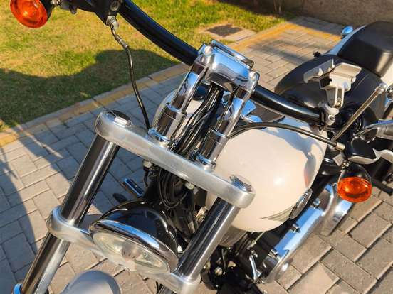 HARLEY-DAVIDSON-SOFTAIL BREAKOUT HARLEY-DAVIDSON-SOFTAIL BREAKOUT-2016