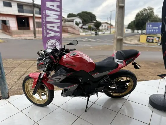 KAWASAKI Z300 ABS 