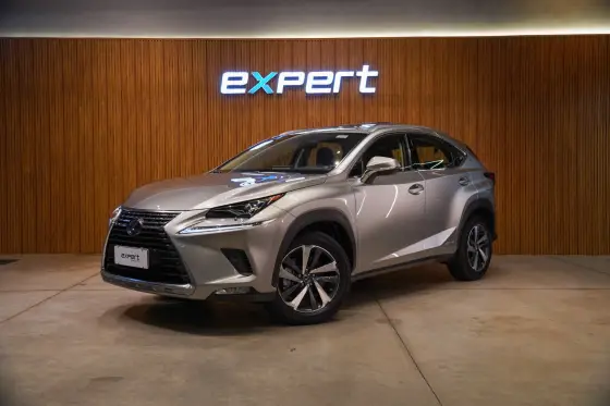 LEXUS NX 300h 2.5 16V VVT-I HYBRID LUXURY CVT AWD
