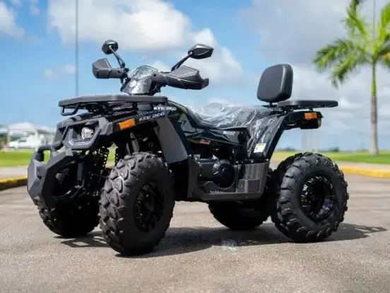 SHINERAY-ATV 200 SHINERAY-ATV 200-2025