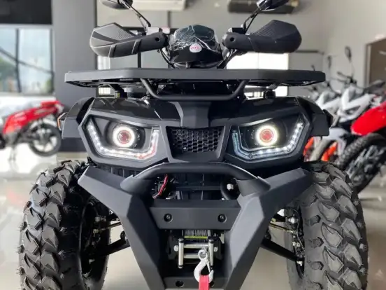 SHINERAY-ATV 200 SHINERAY-ATV 200-2025