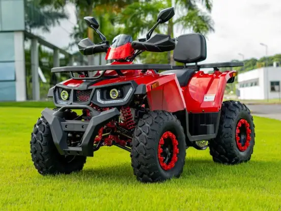 SHINERAY-ATV 200 SHINERAY-ATV 200-2025