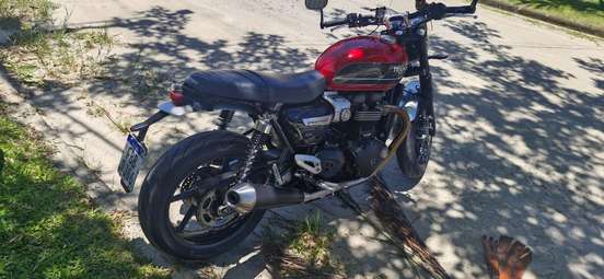TRIUMPH-SPEED TWIN-2019