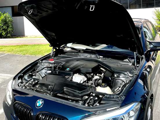 BMW-120i-2.0 16V SPORT GP ACTIVEFLEX 4P AUTOMÁTICO BMW-120i-2015