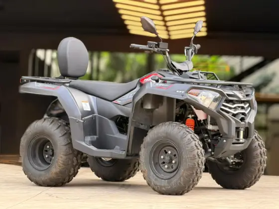FUN MOTORS FARMER 300 