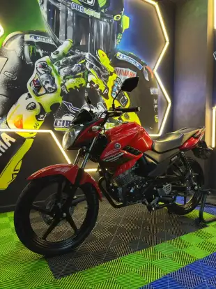 YAMAHA-FACTOR YBR 150 ED-2024
