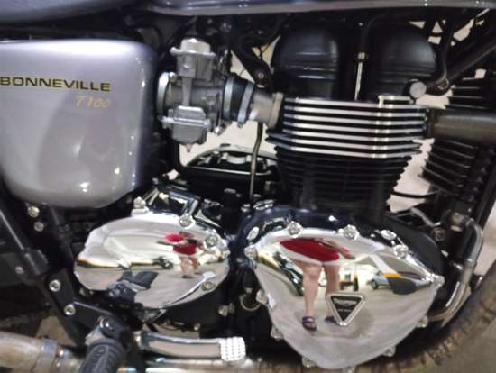 TRIUMPH-BONNEVILLE T 100 865 TRIUMPH-BONNEVILLE T 100 865-2013