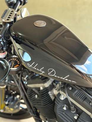 HARLEY-DAVIDSON-SPORTSTER XL 883 R-2009