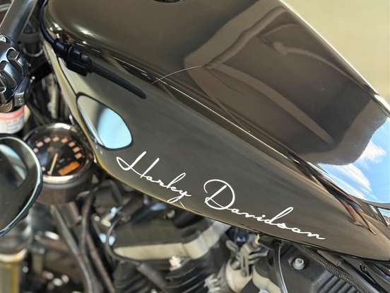 HARLEY-DAVIDSON-SPORTSTER XL 883 R HARLEY-DAVIDSON-SPORTSTER XL 883 R-2009