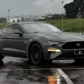 FORD MUSTANG 5.0 V8 TI-VCT GASOLINA GT PREMIUM SELECTSHIFT FORD MUSTANG 5.0 V8 TI-VCT GASOLINA GT PREMIUM SELECTSHIFT