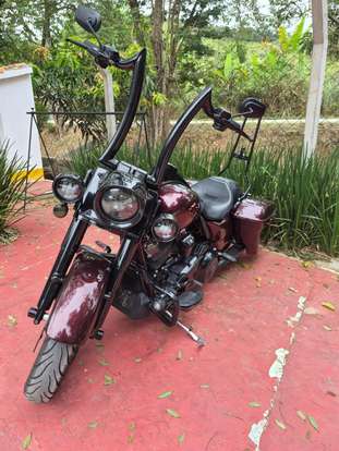 HARLEY-DAVIDSON-ROAD KING SPECIAL-2019