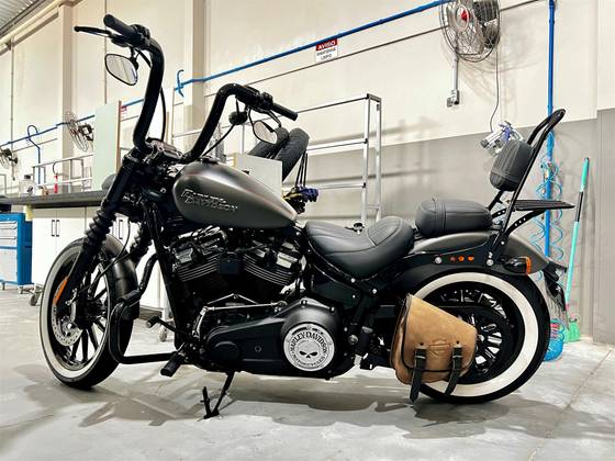 HARLEY-DAVIDSON SOFTAIL STREET BOB 