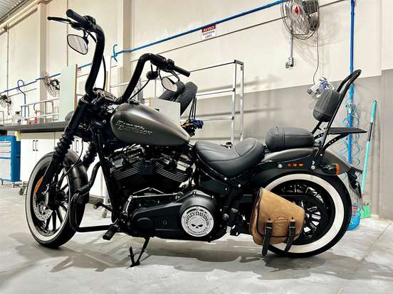 HARLEY-DAVIDSON-SOFTAIL STREET BOB HARLEY-DAVIDSON-SOFTAIL STREET BOB-2018