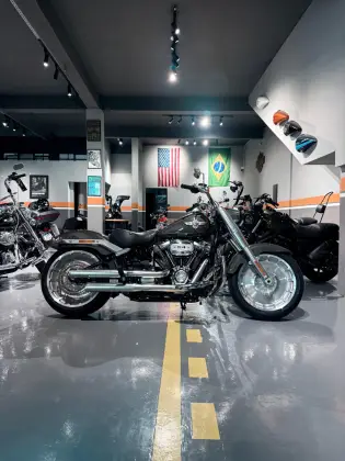 HARLEY-DAVIDSON SOFTAIL FAT BOY 114 