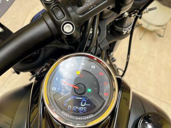 HARLEY-DAVIDSON-SOFTAIL FAT BOB 114 HARLEY-DAVIDSON-SOFTAIL FAT BOB 114-2019