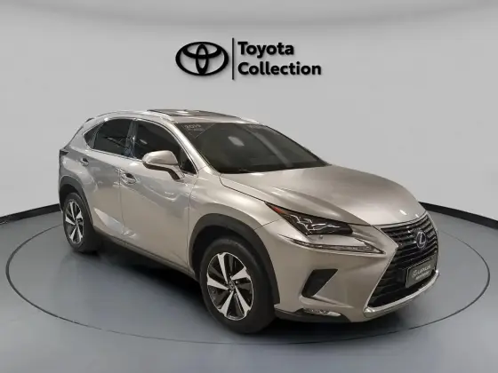 LEXUS NX 300h 2.5 16V VVT-I HYBRID LUXURY CVT AWD