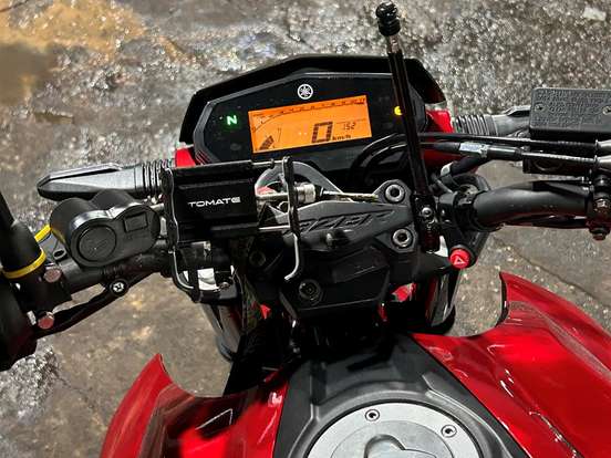 YAMAHA-YS 250 FAZER BLUEFLEX YAMAHA-YS 250 FAZER BLUEFLEX-2017
