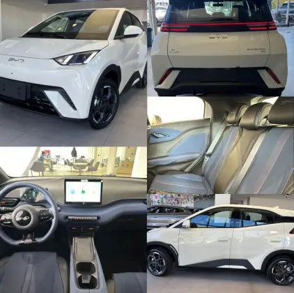 BYD DOLPHIN MINI 38 KW ELÉTRICO GS