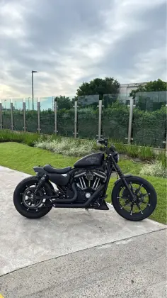 HARLEY-DAVIDSON SPORTSTER IRON 883 
