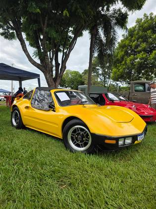 VOLKSWAGEN BUGGY 1.6 8V GASOLINA 2P MANUAL