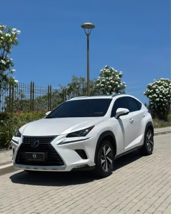 LEXUS NX 300h 2.5 16V VVT-I HYBRID LUXURY CVT AWD