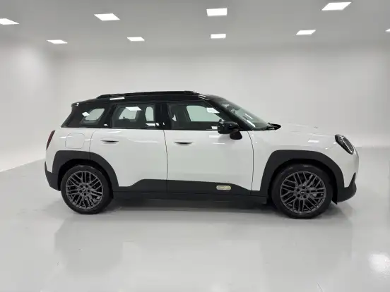 MINI-ACEMAN-2025