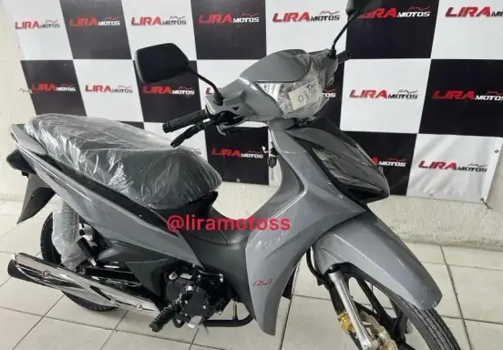 SHINERAY-RIO 125-2024