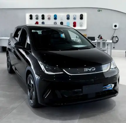 BYD DOLPHIN 45,1 KW ELÉTRICO SE