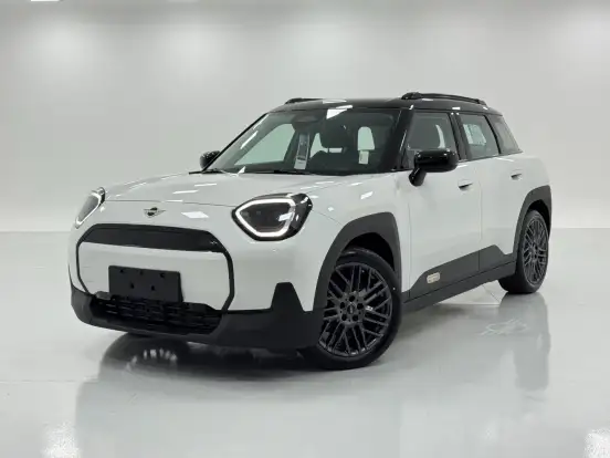 MINI-ACEMAN-2025