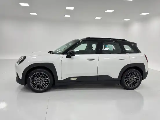 MINI-ACEMAN-2025