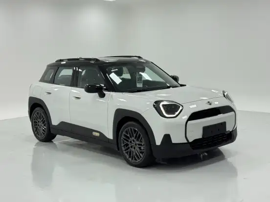 MINI-ACEMAN-2025