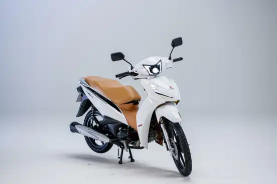 SHINERAY-RIO 125-2026