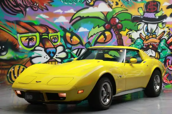 CHEVROLET-CORVETTE-1977